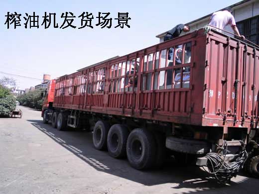 雙象榨油機的效果怎么樣？